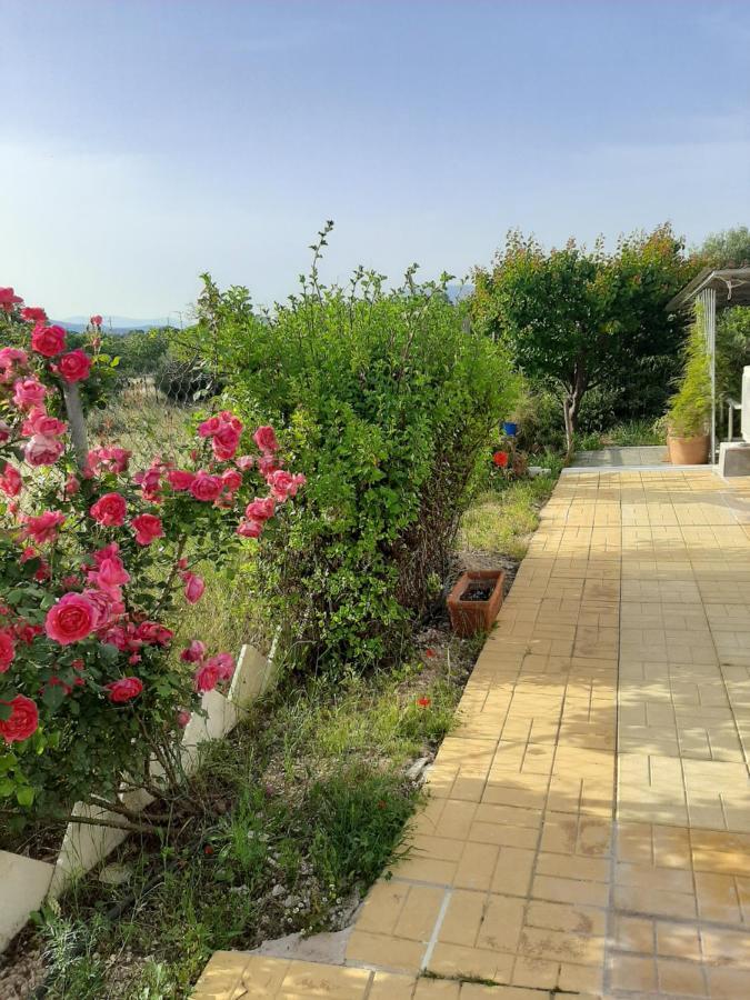 קורופיון Helen'S Cozy Studio מראה חיצוני תמונה