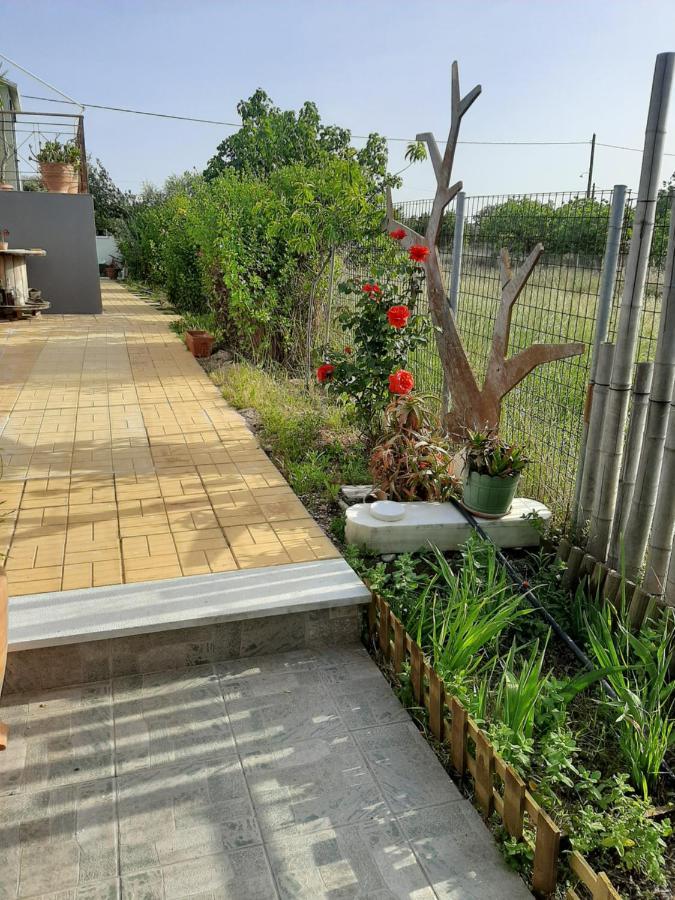 קורופיון Helen'S Cozy Studio מראה חיצוני תמונה